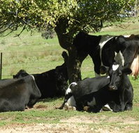 Willy's Holiday House - Stayed