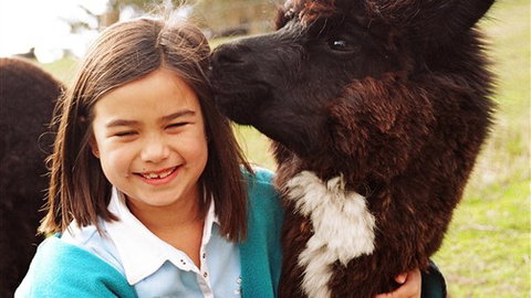 Sabrelyn Park - Stayed 1