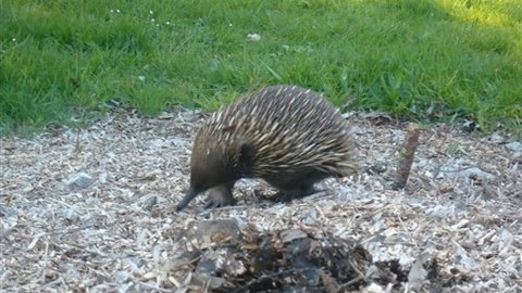 Sabrelyn Park - Stayed 5