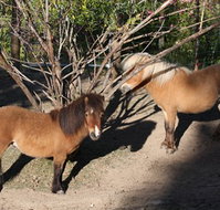 Cloud End Farmstay - Stayed