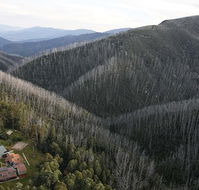 YMCA Howmans Gap Alpine Centre - Stayed