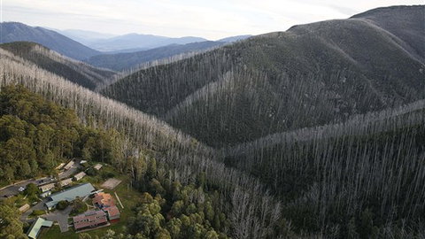 YMCA Howmans Gap Alpine Centre - Stayed 0