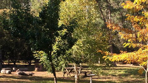 Schusters Lodge - Stayed 6