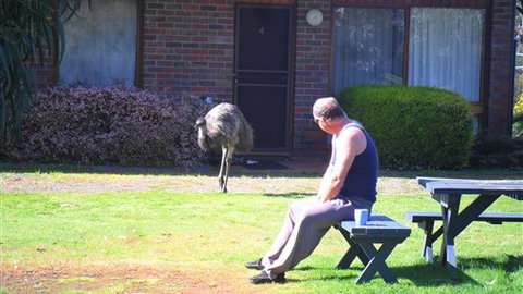 Halls Haven Resort - Stayed 7