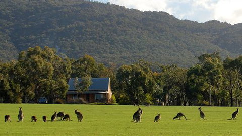 Grampians Pioneer Cottages - Stayed 3