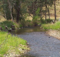 Murphy's Cabin - Stayed