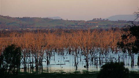 Salisbury - Stayed 0