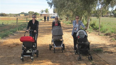 Cabarita Lodge - Stays Accommodation 3