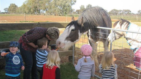 Cabarita Lodge - Stays Accommodation 4