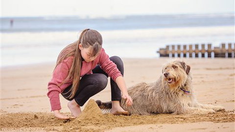 Front Beach Torquay Beach Houses - Stayed 4