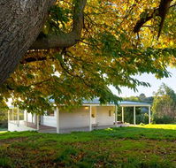 Della Fonte - Stayed