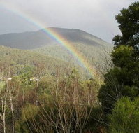 Wattletree Cottage - Stayed