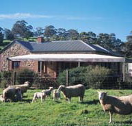 Amanda Stichbury Cottage - Stayed
