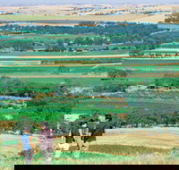 Barossa Best Bed and Breakfast - Stayed