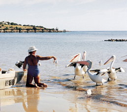 Loverings Lodge - Emu Bay - Stayed 1