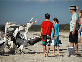 Malibu Lodge - Stayed 3