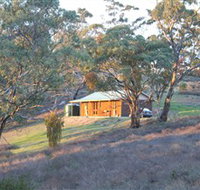 Molly's Chase - Stayed