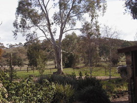 Settlers Cottage - Stayed 0