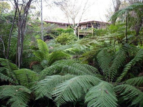Adelaide Hills Bed & Breakfast Accommodation - Stayed 3