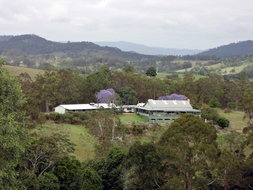 Book Amamoor Accommodation Vacations Stays Accommodation Stays Accommodation