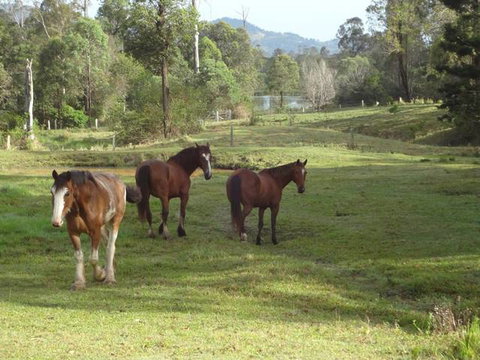 Amamoor Lodge - Stayed 2