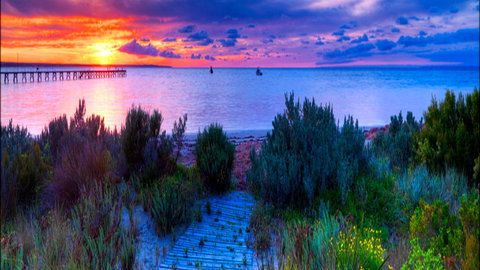 Marion Bay Caravan Park - Stayed 1