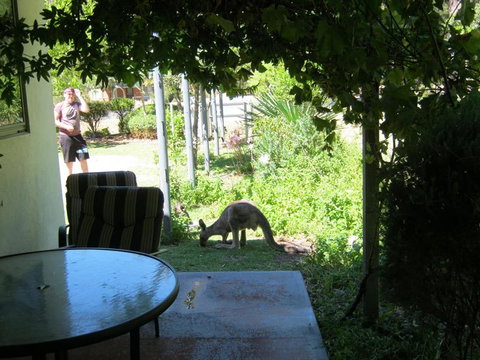 Tim's Place - Stayed 2