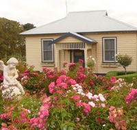 Amor of Red Hill - Stayed