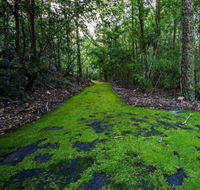 Booderee National Park Green Patch Camping Area - Stayed