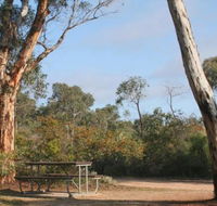 Drummonds Camp at Avon Valley National Park - Stayed