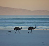 Thomas River Shire Reserve Camp at Cape Arid National Park - Stays Accommodation