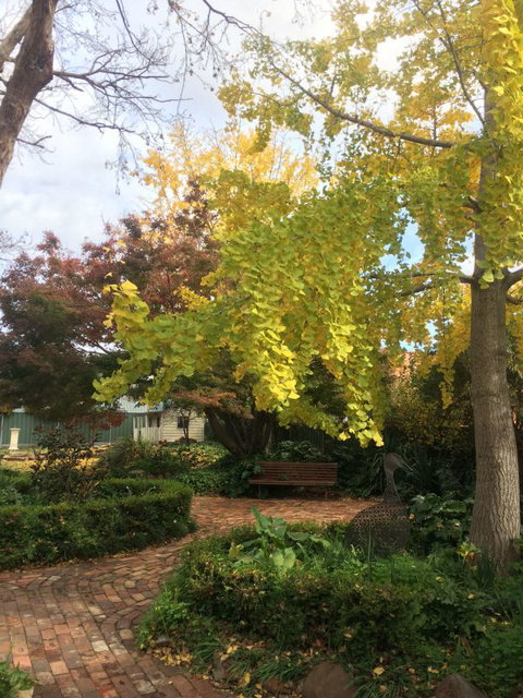 Cawarra On The Park - Stayed 5