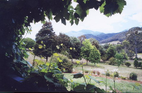 Springfield Cottage Bed & Breakfast - Stayed 1