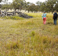 Carnarvon National Park camping - Stayed