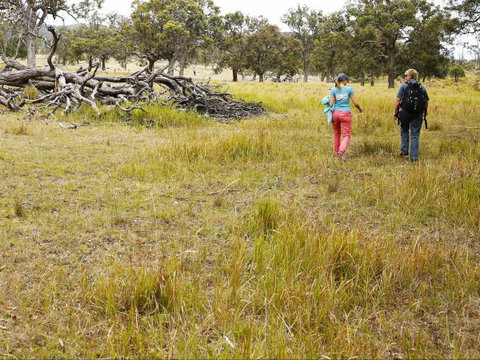 Carnarvon National Park Camping - Stayed 0