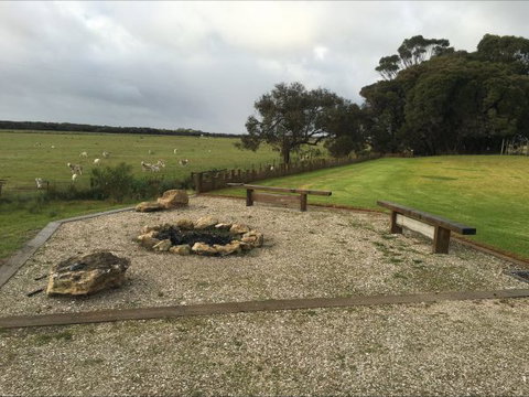 The Shore -Beachfront Accommodation - Stayed 0