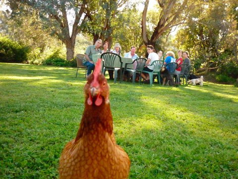 Baranduda Homestead B&B Cottages - Stayed 9