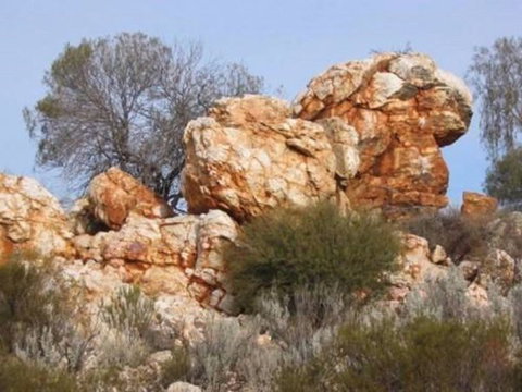 Credo Homestead Camp At Credo Conservation Park - Stayed 0