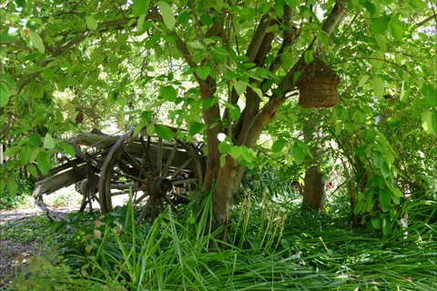 Willowbrook Heritage Bed & Breakfast - Stayed 7