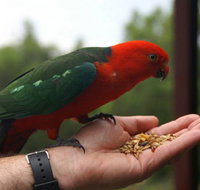 Barrington Tops Escapes - Stayed