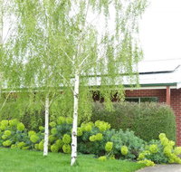 Birralee Cottage - Stayed