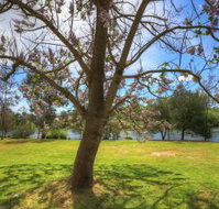 Breakaway Twin Rivers Caravan Park - Stayed