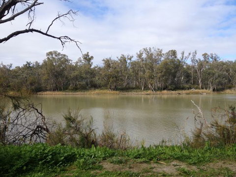 Chowilla Station Shearer's Quarters Accommodation - Stayed 1