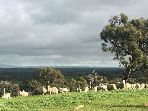 Heathcote Views Bed & Breakfast - Stayed 5