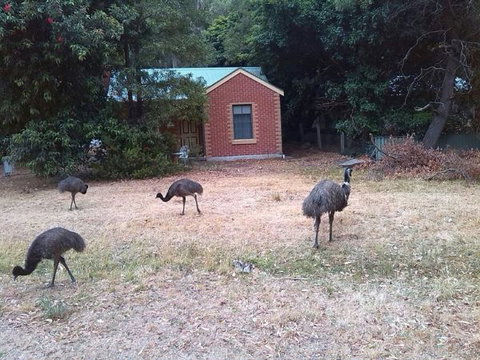 Boronia Peak Villas - Stayed 5