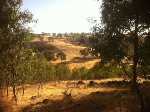 Jonathan Art Centre - Jarramarrumba House - Stayed 6