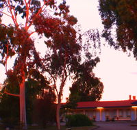 Murray Bridge Central Olympic Motel and Cottages - Stays Accommodation