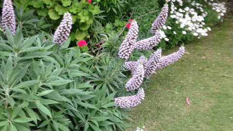 Padthaway Caravan Park - Stayed 8