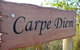 Carpe Diem - thumb 10