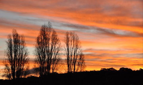 Northeys Of Hill End - Stayed 5